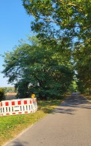 Foto: Ortsein- und Ausgangsschild zugewachsen 